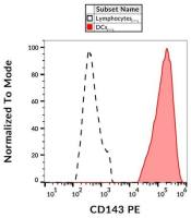 ACE antibody [5-369] (PE)