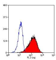 CD71 antibody [DF1513] (PE)