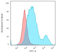 Cytokeratin 18 antibody [SPM510]