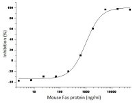 Mouse Fas protein, His tag (active)
