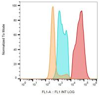 CD40L / CD154 antibody [24-31] (FITC)
