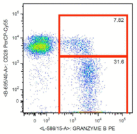 Granzyme B antibody [CLB-GB11]