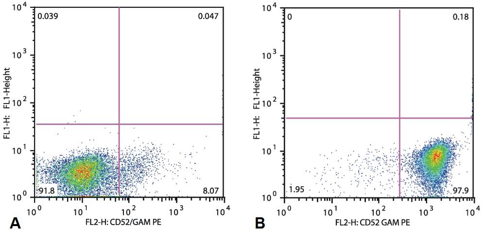 CD52 antibody [HI186]