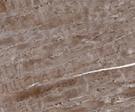 Agrin antibody [Agr-33]