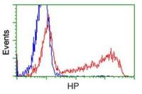 Haptoglobin antibody [1B1]