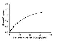 Rat GDF8 / Myostatin protein, His tag