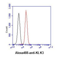 Amphiregulin antibody [AT1D10]