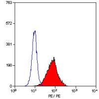 TLR4 antibody [HTA125] (PE)