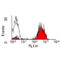 MHC Class II (monomorphic) antibody [YKIX334.2] (FITC)