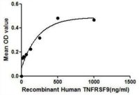 Human CD137 protein, His tag