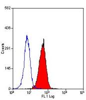 Fas Ligand antibody [14C2] (PE)