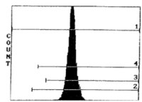 CD45 antibody [OX-30]
