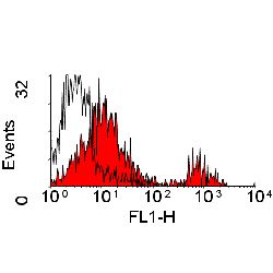 Wc1 antibody [CC15] (FITC)