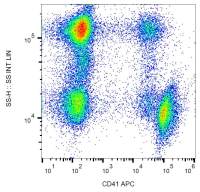CD41 antibody [MEM-06] (APC)