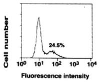 Fc epsilon R1 alpha antibody [CRA1] (Biotin)