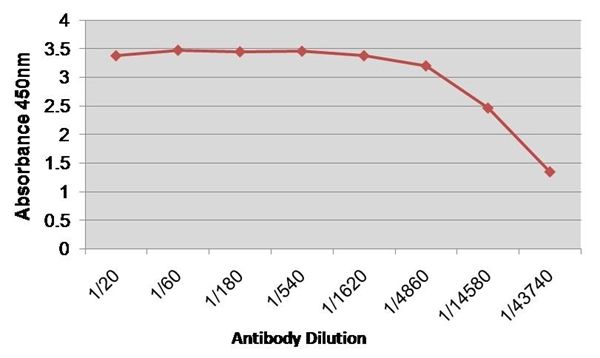 Factor VIII antibody [RFF-VIIIC/5]