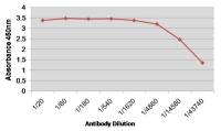 Factor VIII antibody [RFF-VIIIC/5]
