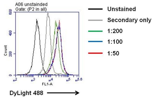 IL6 antibody [5IL6]
