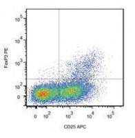 FOXP3 antibody [3G3]