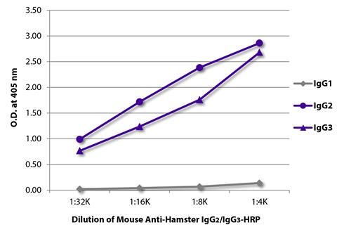 Mouse Anti-Armenian Hamster IgG2/IgG3 antibody [SB139e] (HRP)
