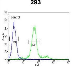 COL18A1 antibody, N-term