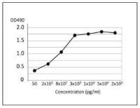 Salmonella enteritidis LPS antibody [se-1]