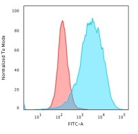 CD43 antibody [SPN/2049R]