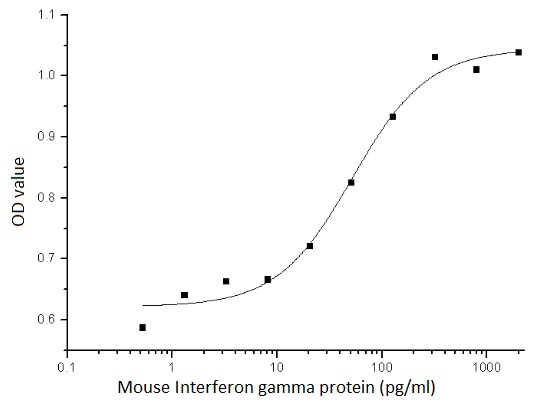Mouse Interferon gamma protein (active)