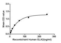 Human Neutrophil elastase protein, His and GST tag