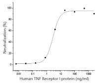 Human TNF Receptor I protein, human IgG1 Fc tag (active)