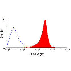 Fas antibody [LOB 3/17]