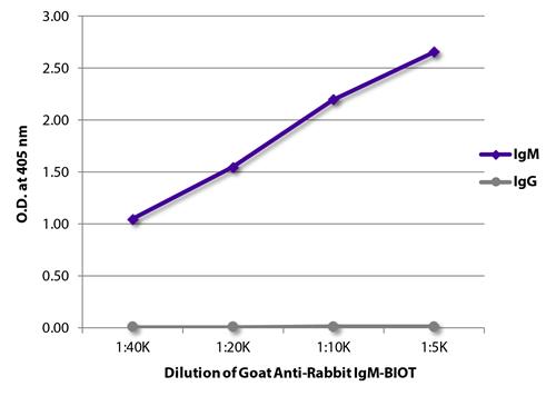 Goat Anti-Rabbit IgM antibody, pre-adsorbed (Biotin)