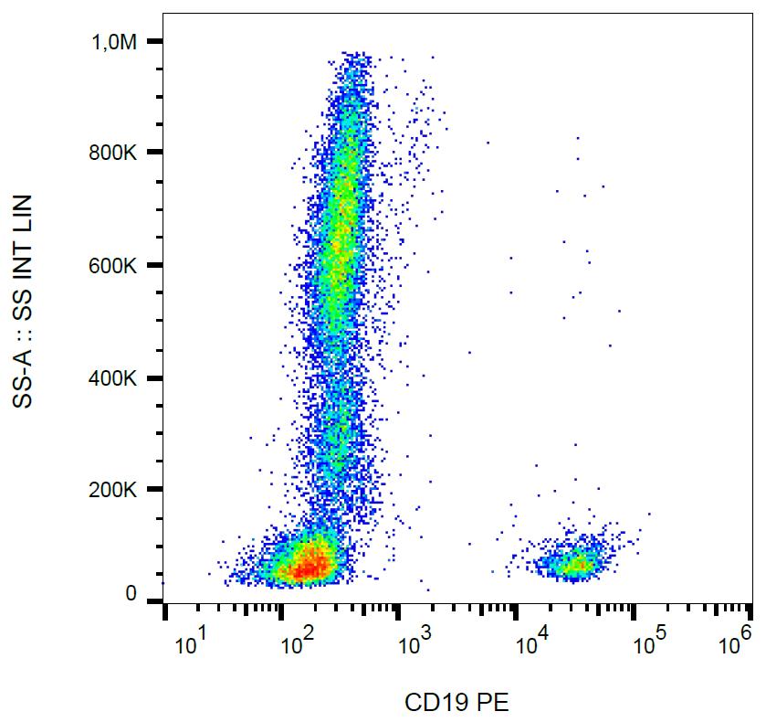 CD19 antibody [LT19] (PE)