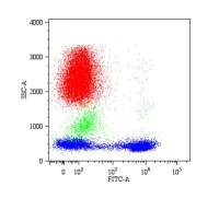 CD5 antibody [CRIS1] (PE)