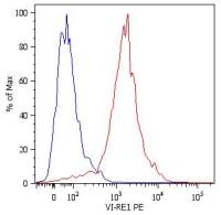 Vimentin antibody [VI-RE/1] (PE)