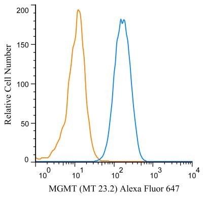 MGMT antibody [MT 23.2]