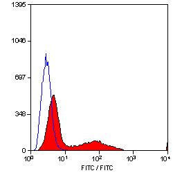 CD34 antibody [MEC14.7] (FITC)