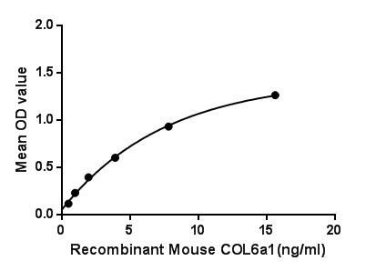 Mouse COL6A1 protein, His tag