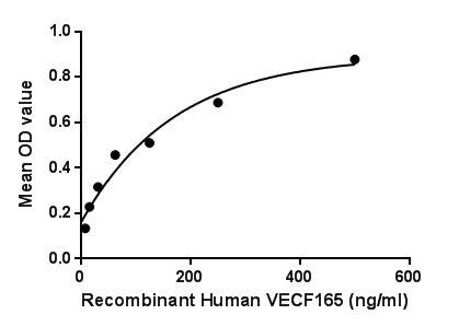 Human VEGF165 protein, His tag