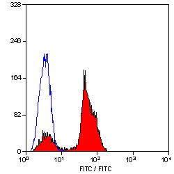 CD2 antibody [LT2] (PE)