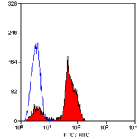 CD2 antibody [LT2] (PE)