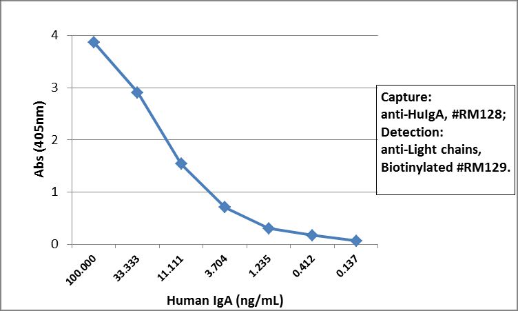 Rabbit Anti-Human IgA antibody [RM128]