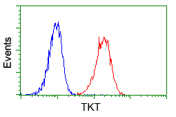 Transketolase antibody [5H3]
