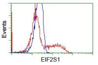 eIF2 alpha antibody [3H7]
