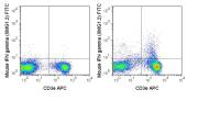 Interferon gamma antibody [XMG1.2] (FITC)