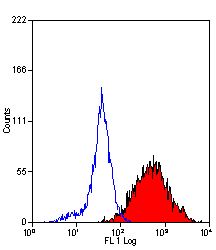 DC-SIGN antibody [MR-1] (FITC)