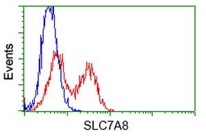 SLC7A8 antibody [5A9]