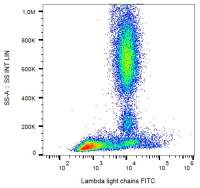 Mouse Anti-Human lambda light chain antibody [4C2] (FITC)
