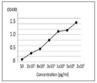 Clostridium perfringens Collagenase antibody [cp-02]