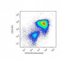 CD79a antibody [HM57] (PE)